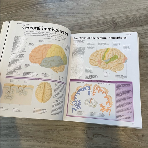 How the Body Works Textbook - Picture 4 of 4